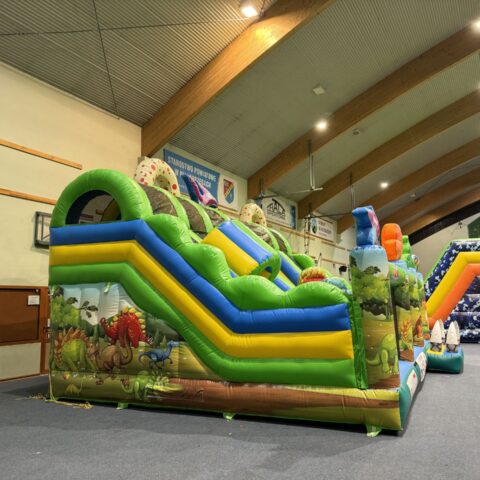 PLAC ZABAW DINOZAURY