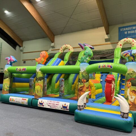 PLAC ZABAW DINOZAURY (3)